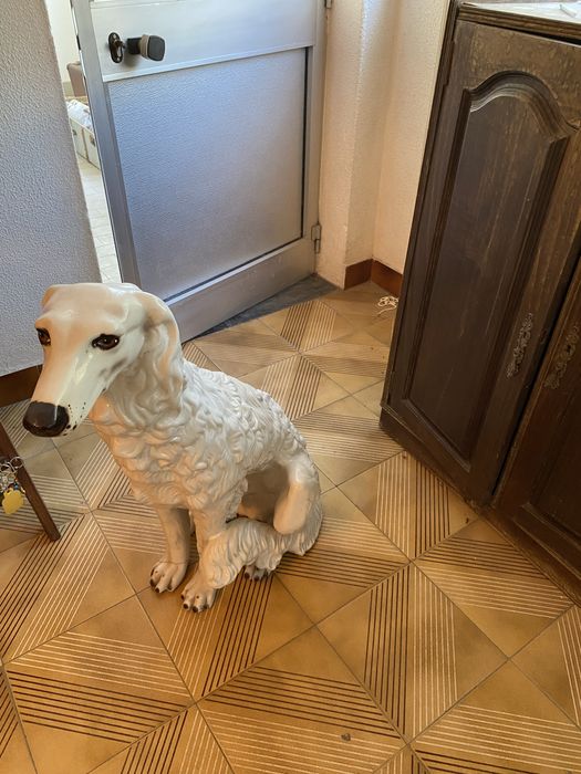 Cão grande em Loiça