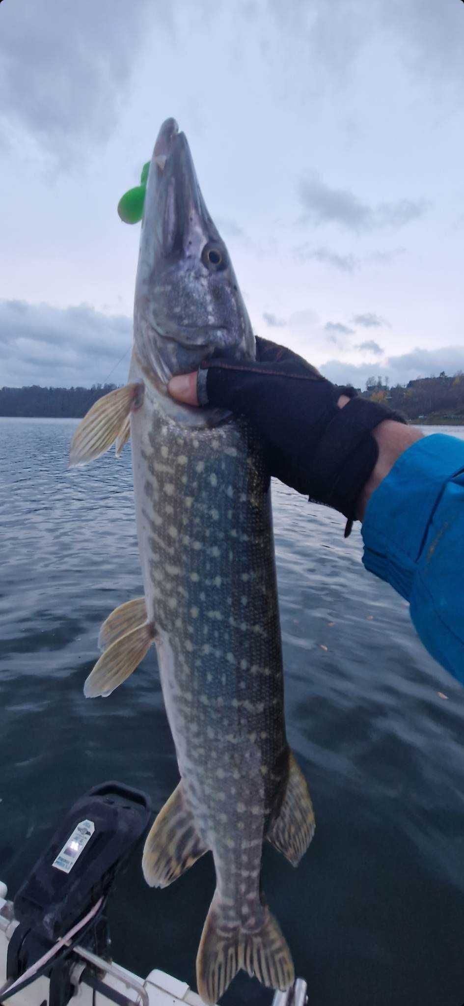 Wynajem Łodzi Wędkarskiej NA RYBY Elektrycznej bez Patentu Solina