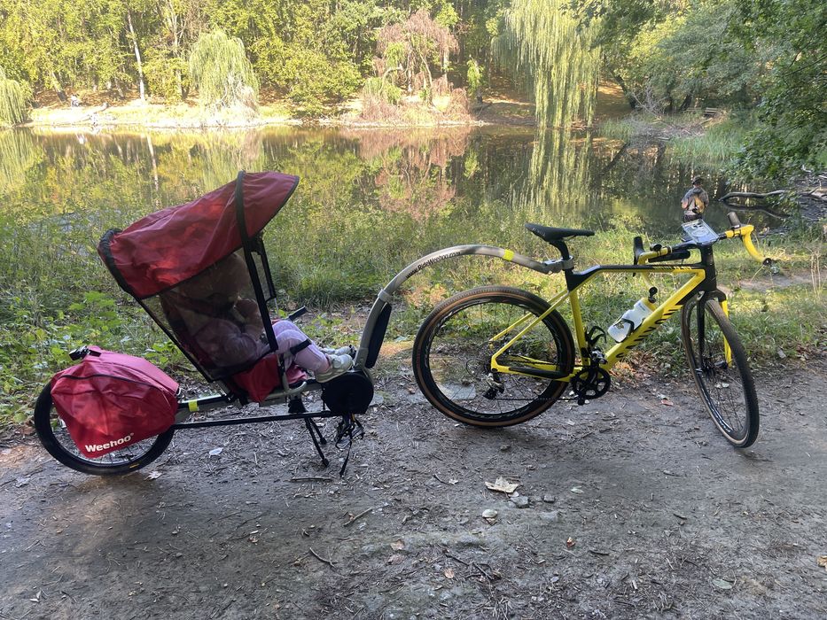 Przyczepka rowerowa Wehoo I go