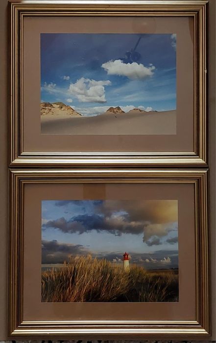 Obrazy w złotych ramach  - wydruk poligraficzny.