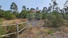Terreno  para venda