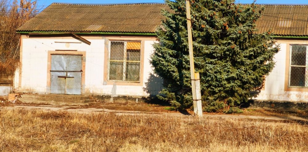 Здам в оренду.Дешево.