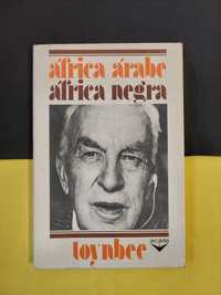 Arnold J. Toynbee - África Árabe, África negra