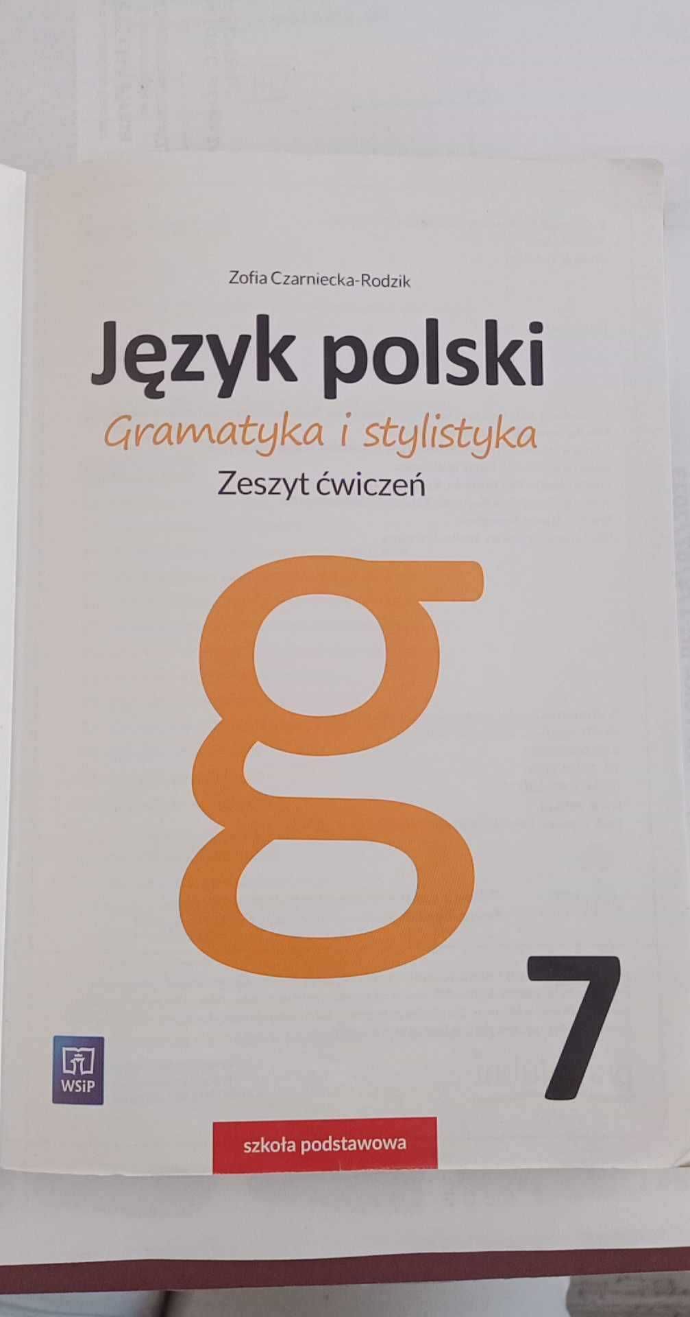 Język polski Gramatyka i stylistyka ćwiczenia 7 tanio