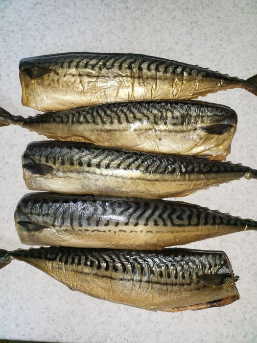 Скумбрия домашнего копчения на фруктовых дровах