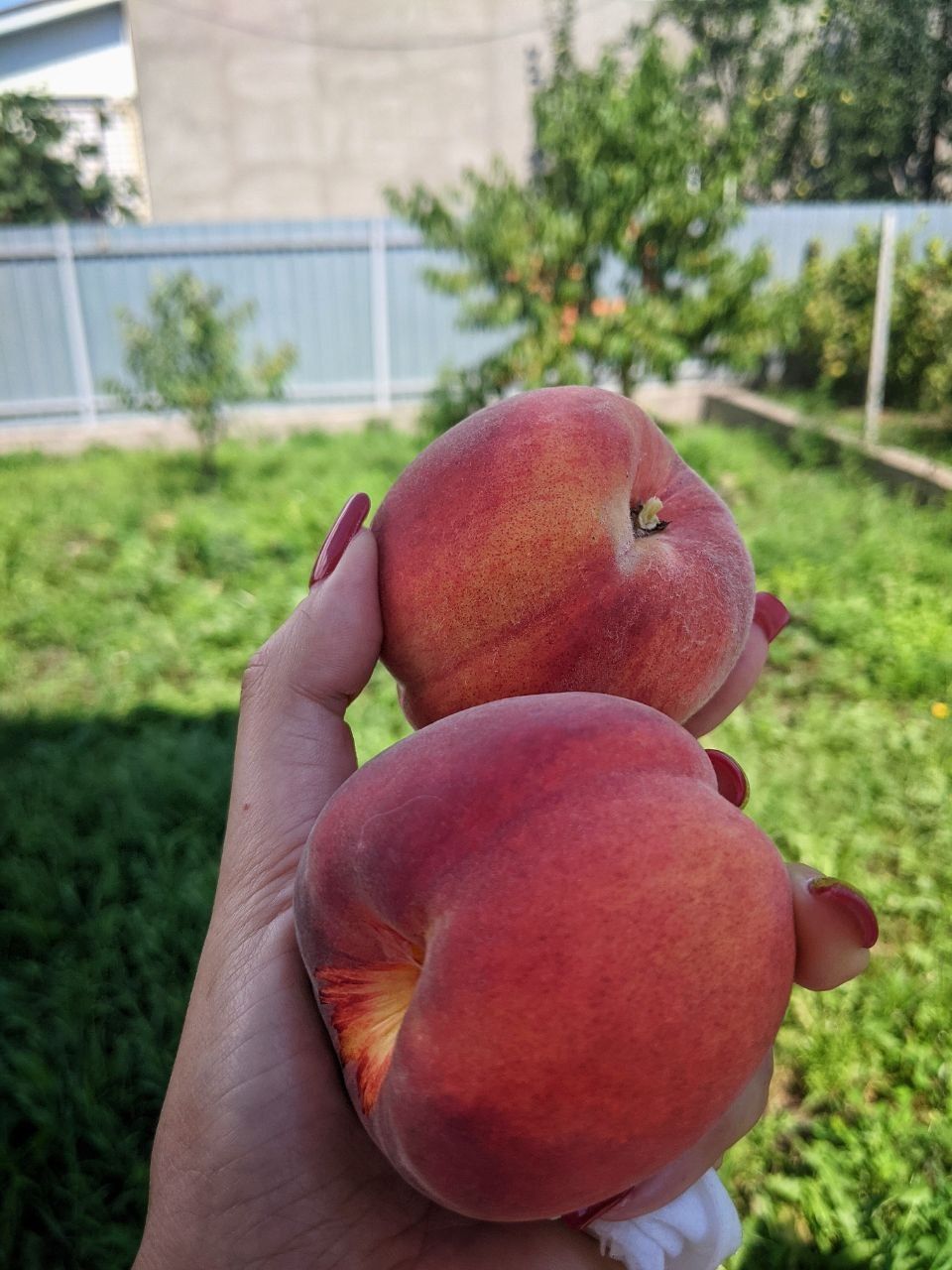 Ціна Топ!!! Продам дуже хорошу земельну ділянку 17 соток