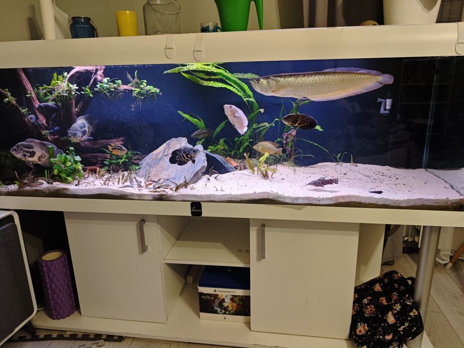 Akwarium 720l z pokrywą i szafką – komplet Diversa