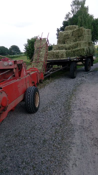 Siano w kostkach bez nawozów