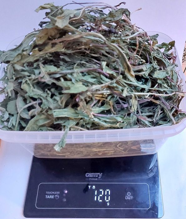 mniszek lekarski liść  120 g  #królik #koszatniczka #kawia