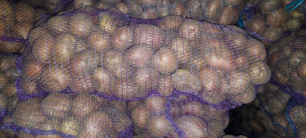 Продам картоплю, моркву, буряк