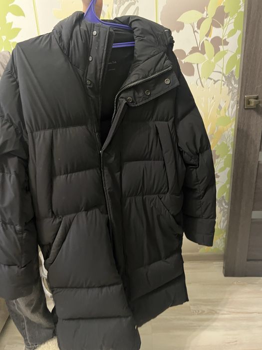 Чоловіча Куртка, пуховик Massimo Dutti