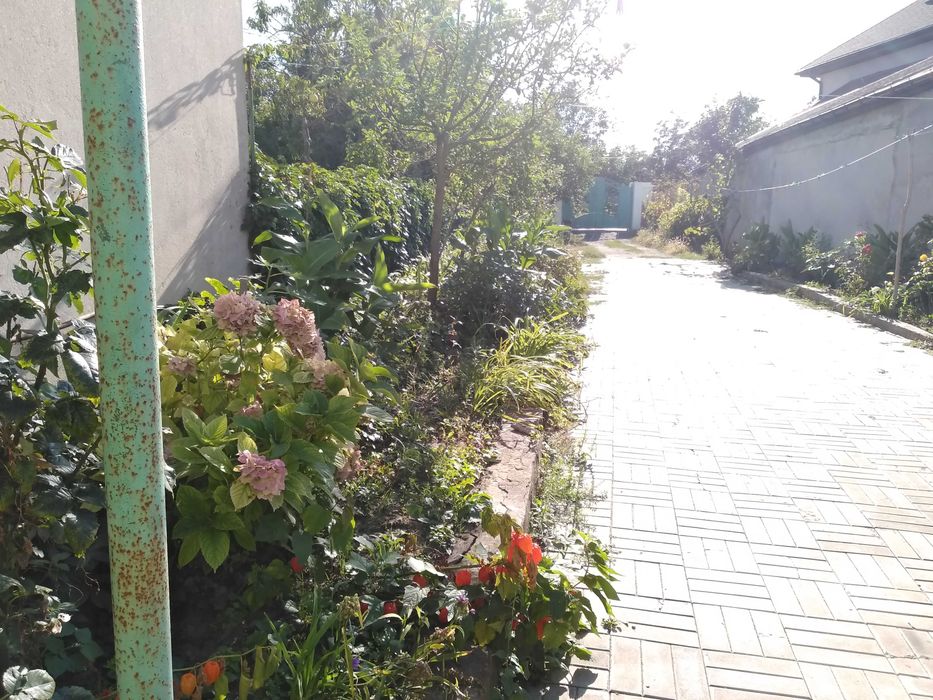 Сдам уютные комнаты у Золотого Берега — без посредников, от хозяйки!