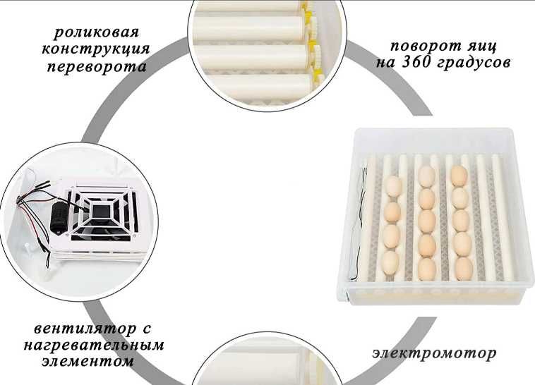 Інкубатор автоматичний на 36, 64, 120 180, 240, 300, 500 яєць з овоск