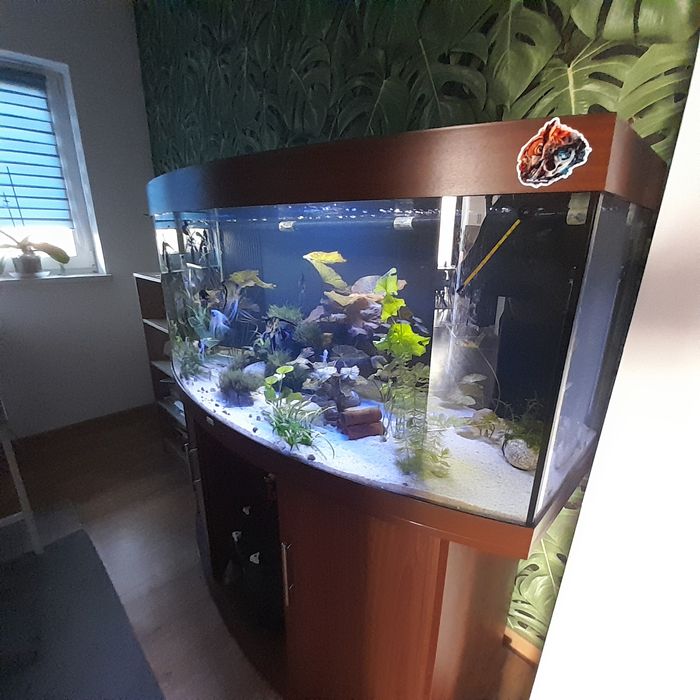 Sprzedam akwarium 450l