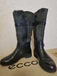 Женские зимние сапоги Ecco