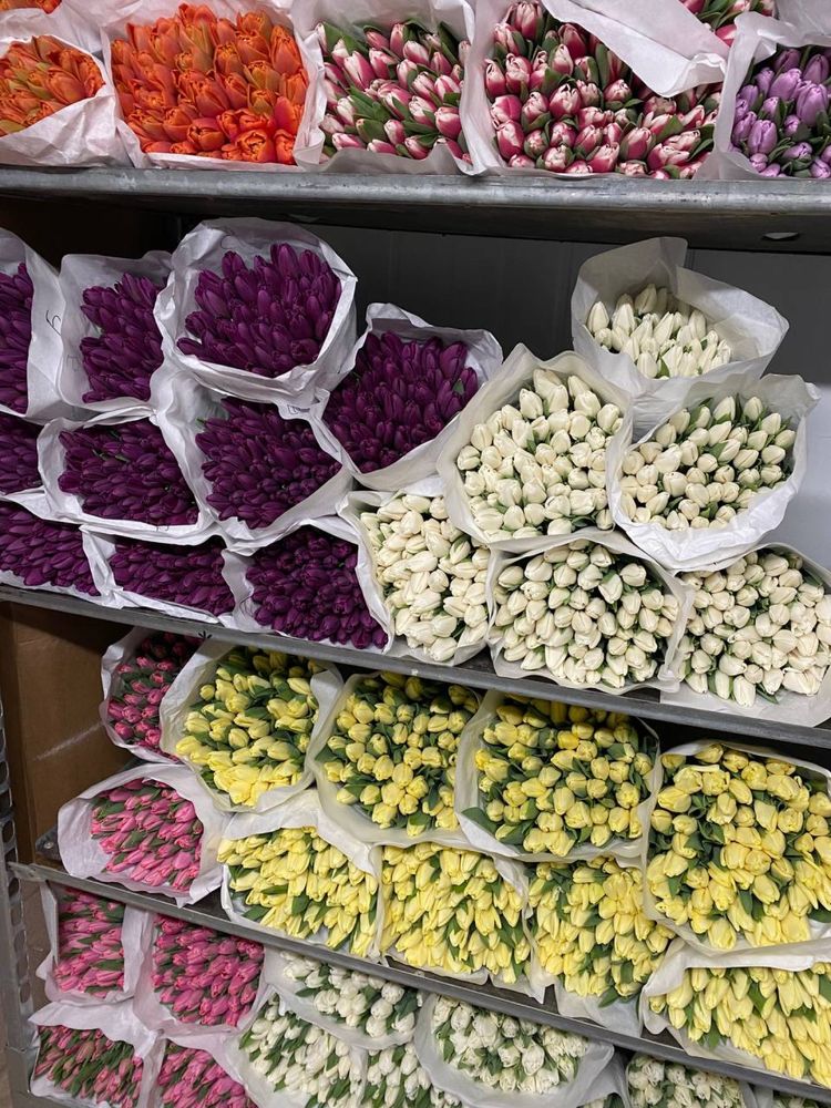 Квіти,тюльпани,поштучно або букет