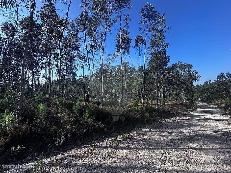 Terreno  para venda