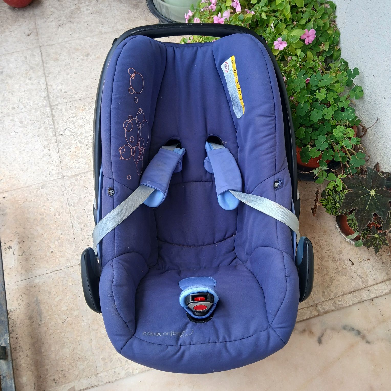Bebé cadeirinha ovinho