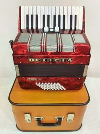 NOWY Delicia Junior XII 48 basów akordeon