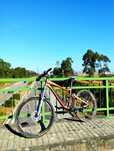 Bicicleta Giant Enduro