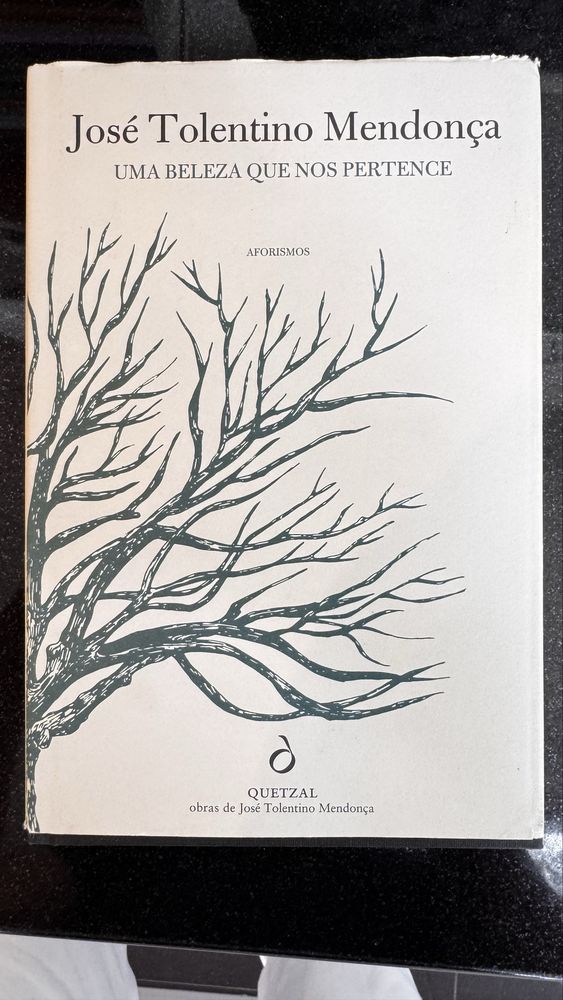 Livro José Tolentino Mendonça – Uma Beleza Que Nos Pertence