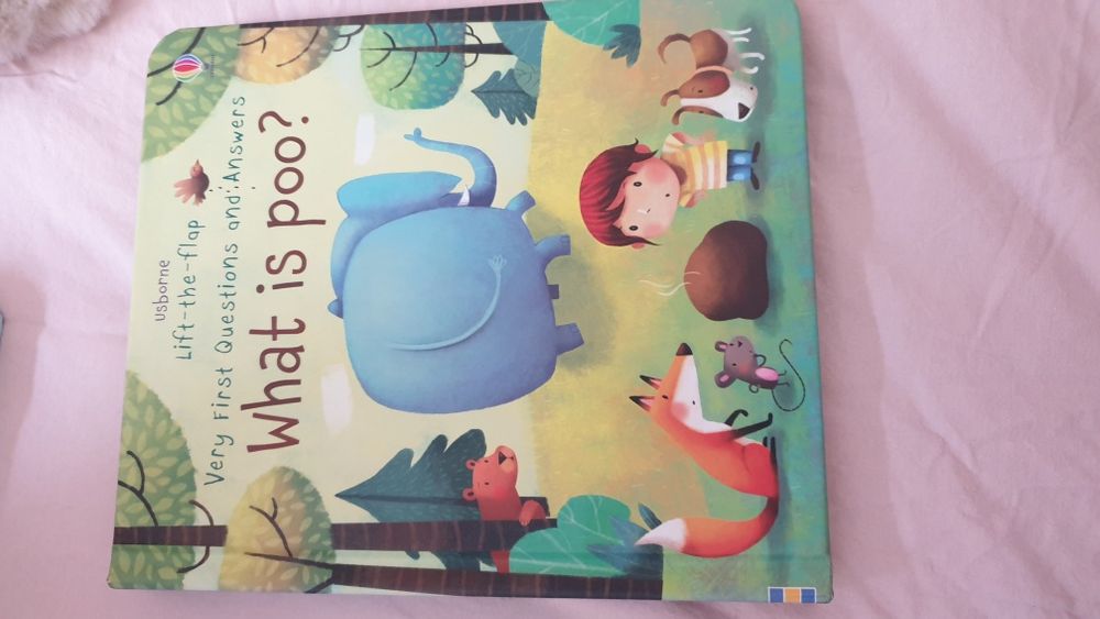 Książeczka anglojęzyczne dla dzieci Wyd. USBORNE