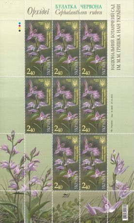 znaczki pocztowe - Ukraina 2015 cena 19,90 zł kat.15€ - flora
