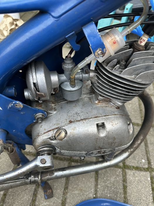Komar sztywniak mr232