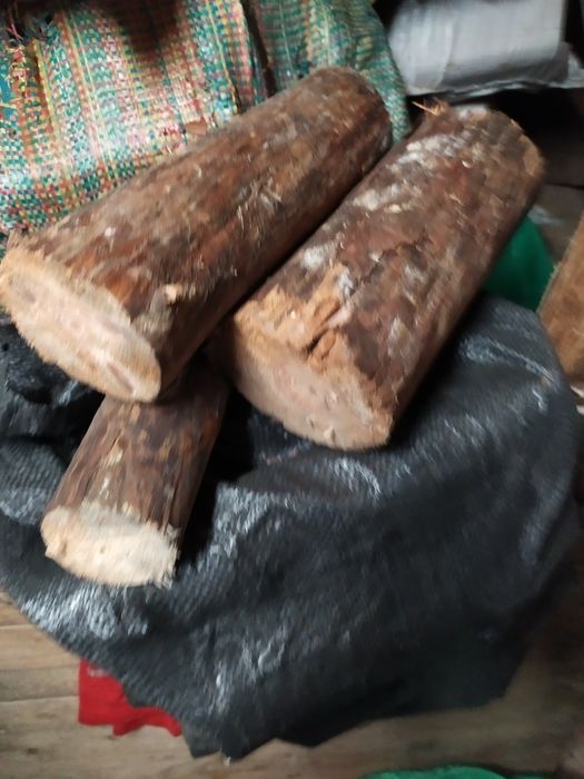 Drewno opałowe Sosna sucha