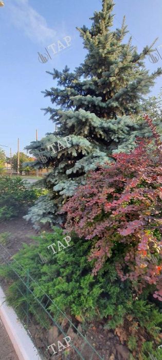 Без комиссии для покупателя! Продам дом с заездом Основа, 3 комнаты