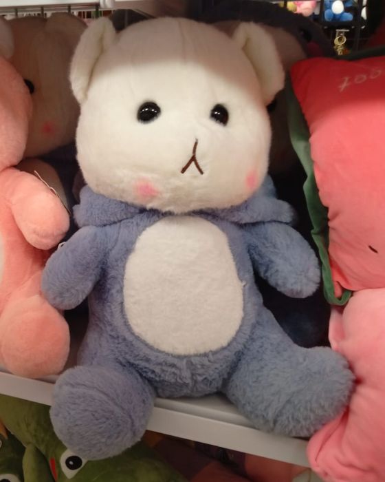 Maskotka miś w ubranku dla dzieci