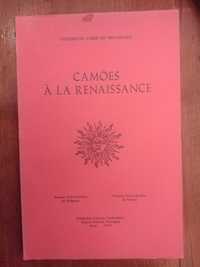 Camões à la renaissance