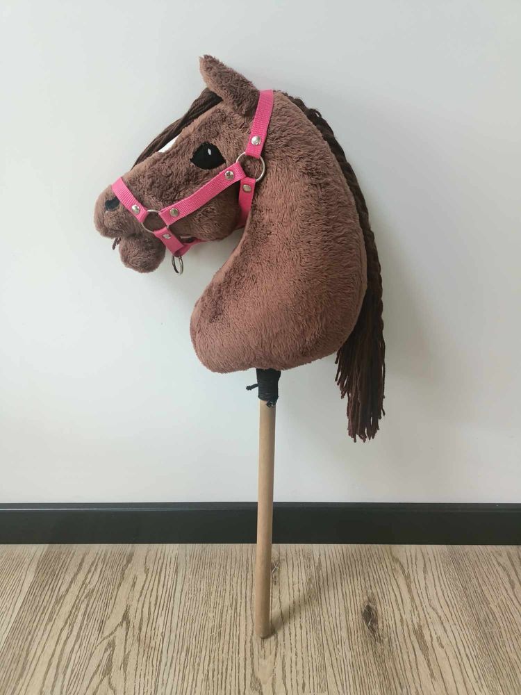 Hobby horse (hobby horsing)