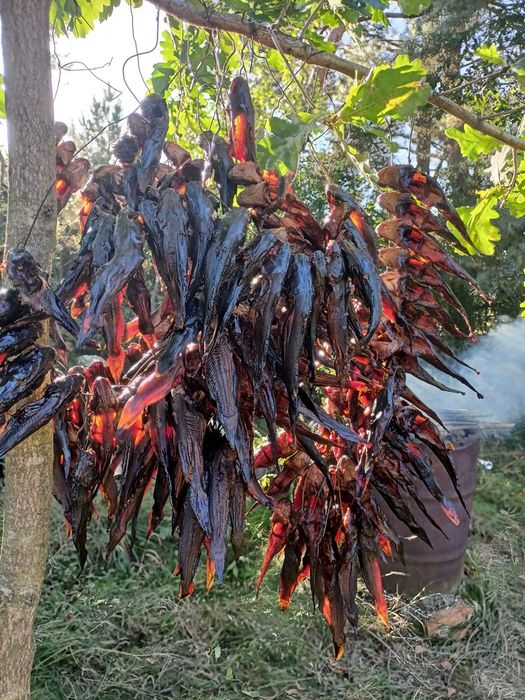 Риба сушена в печі, риба печена, копчена