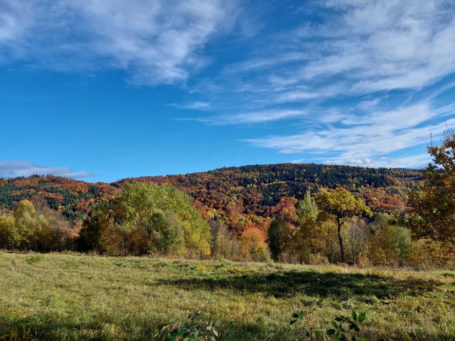 Przepiękna parcela widokowa pod lasem