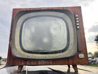 Tv GZR alga antyk p36-66 spanie dla kota