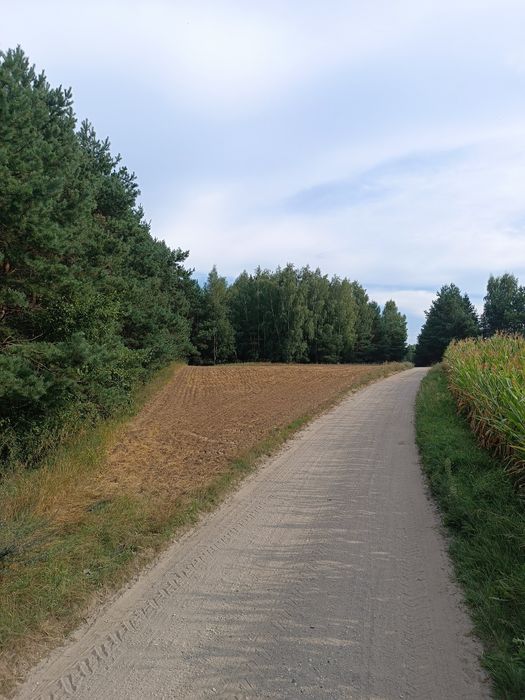 Działka rolno rekreacyjna w miejscowości Młyniec Drugi