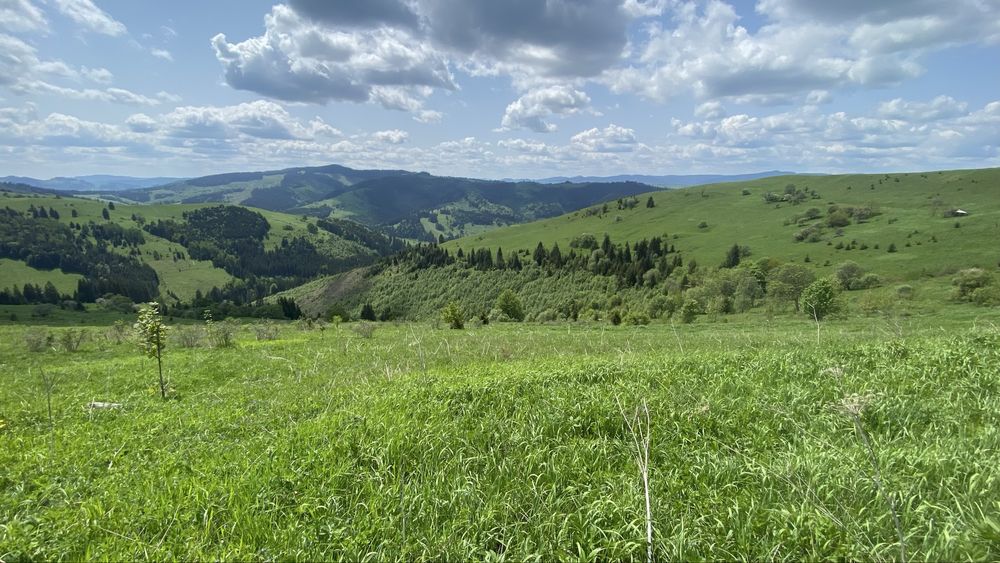 Будинок в горах з великою земельною ділянкою