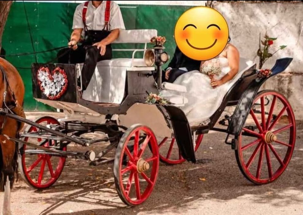 Charrete clássica Milord