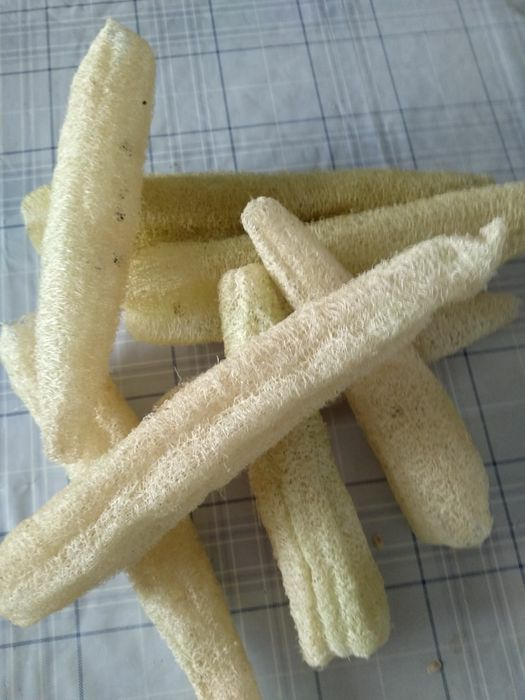 Рослинні мочалки із люфи