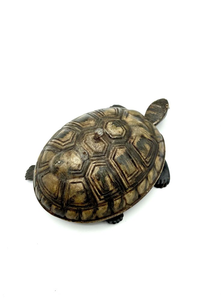 Brinquedo de metal, latão, Lehmann Susi a tartaruga U.S, Alemanha