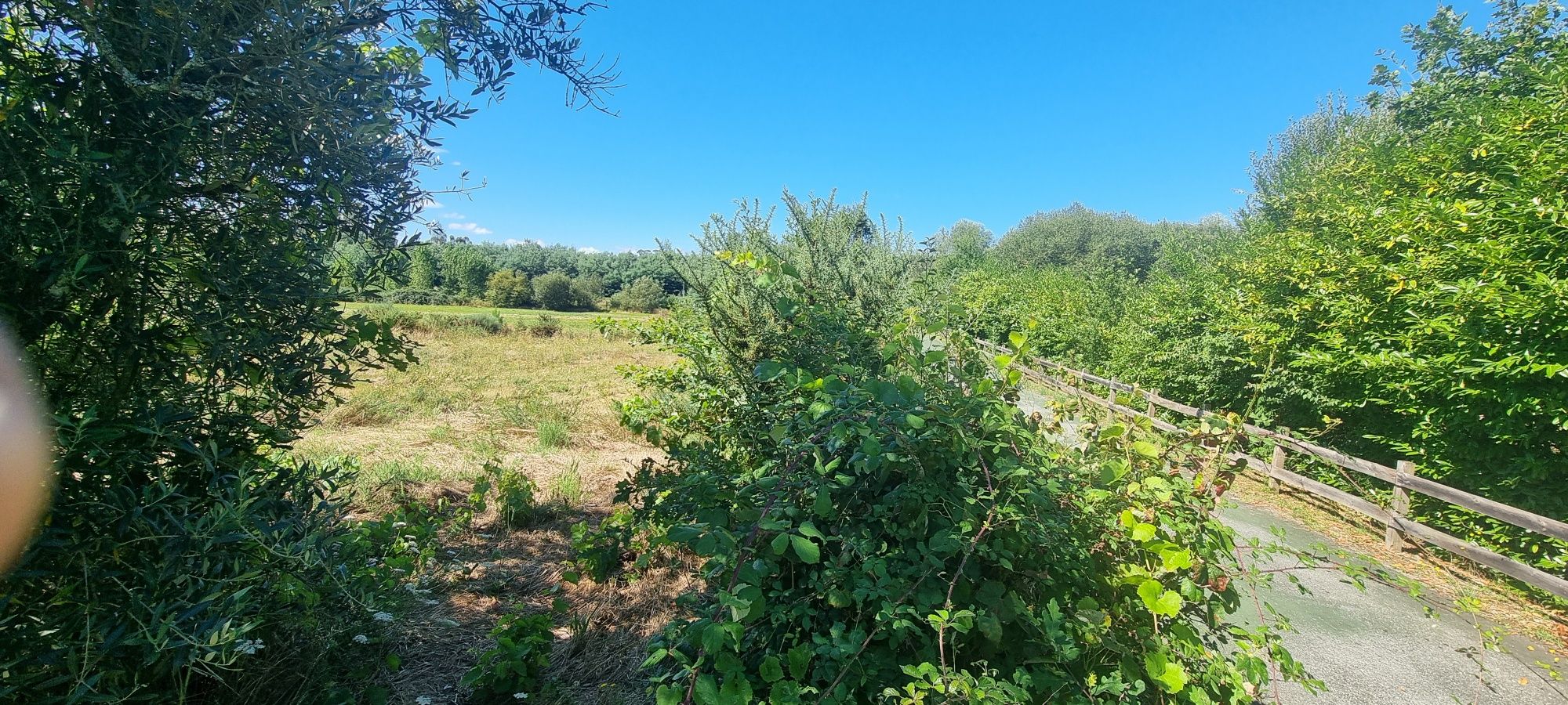 Terreno com 2510m²