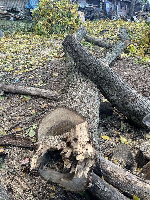 Серовина горіх є доставка кругляк