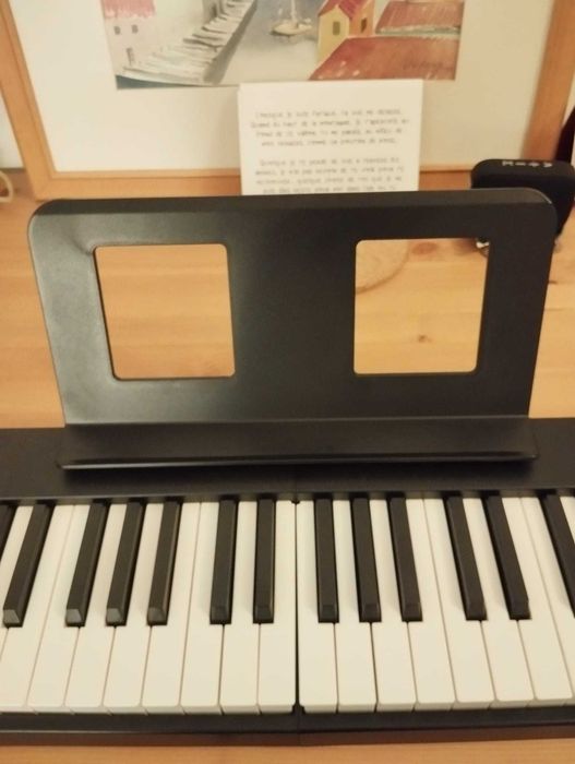 TERENCE Piano dobrável de 88 teclas