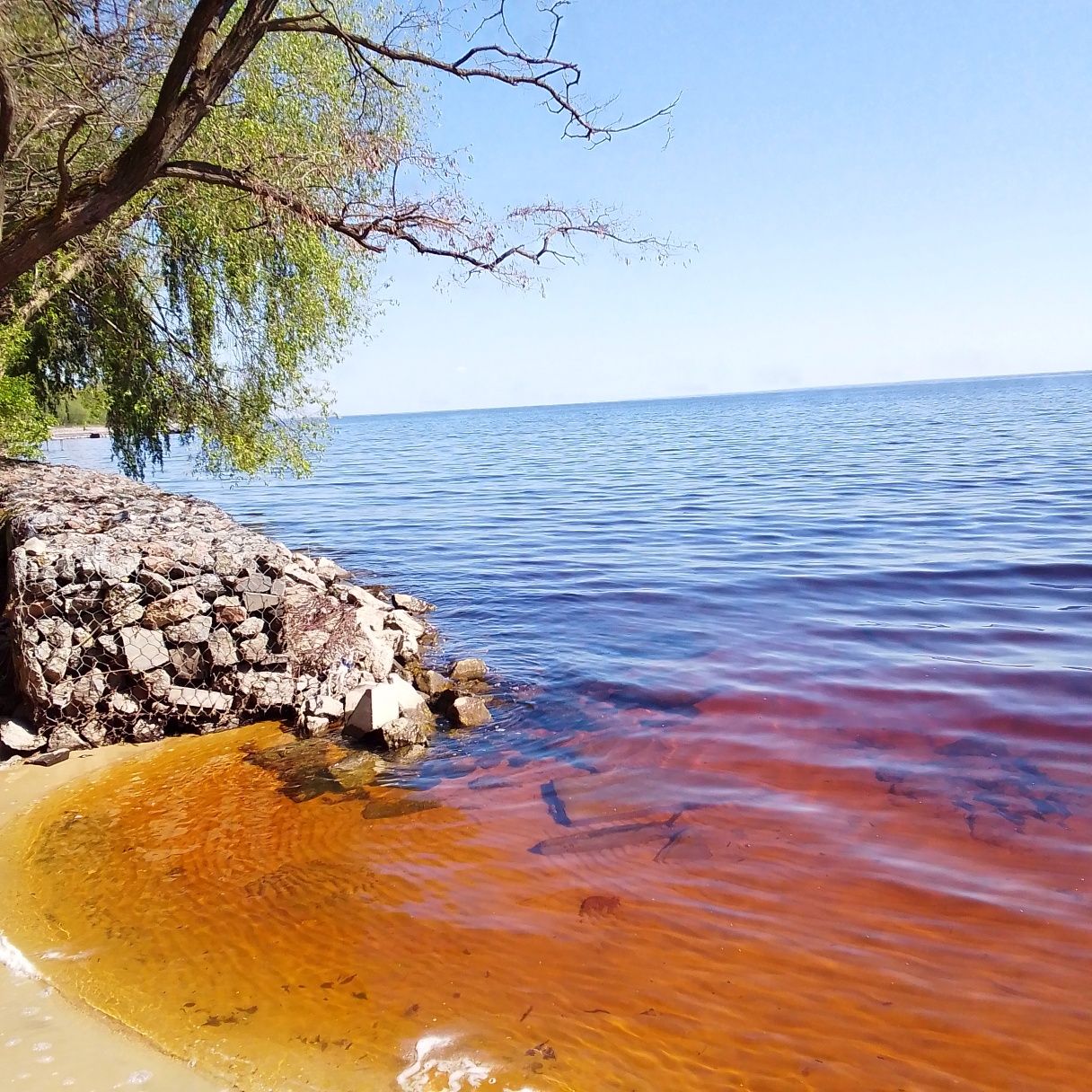 Здаеться дом в Старих Петрівцях.5кімнат.Рядом море.