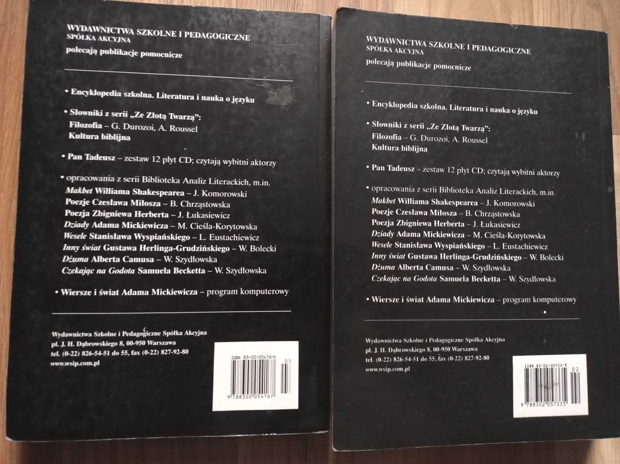 Podręczniki literatury, Pozytywizm i Romantyzm