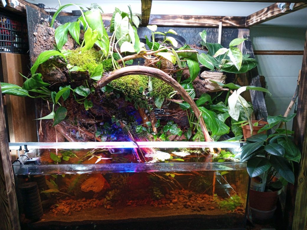 Akwarium ,Terrarium ,vivarium ,oczko wodne ,las w sloiku ...