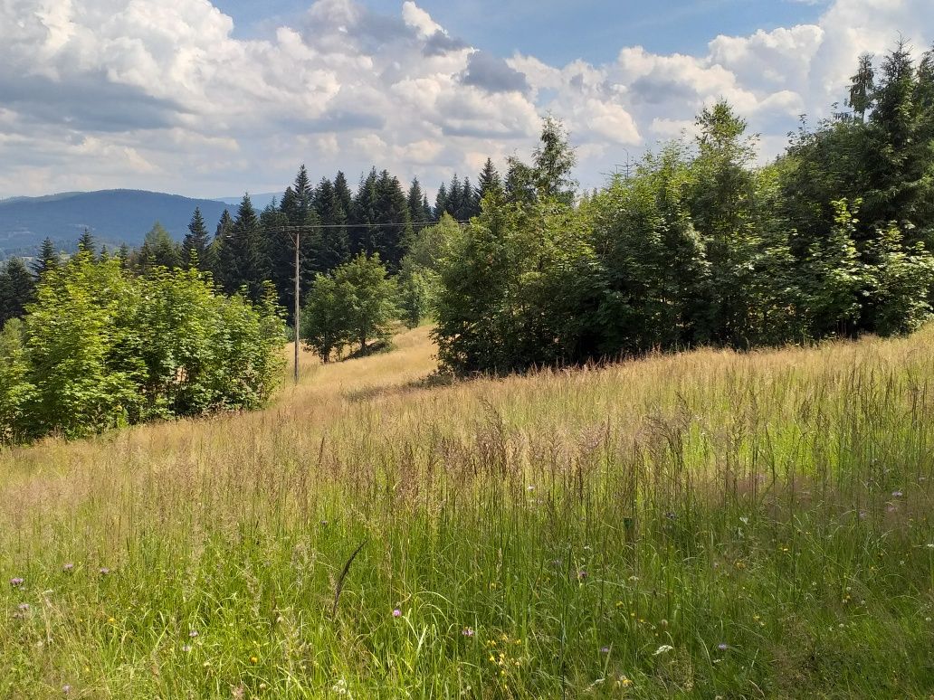 Sprzedam piękną działkę w gorach