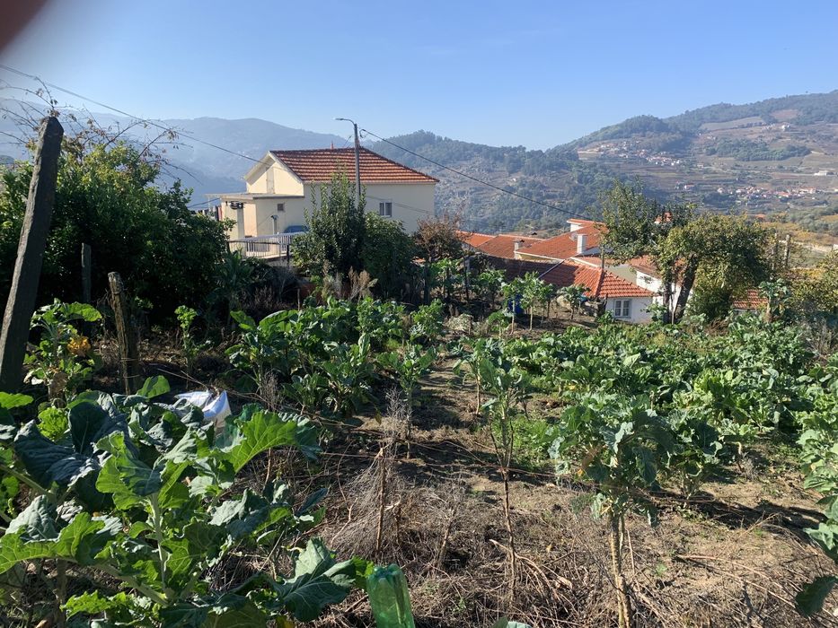 Terreno com habitacao