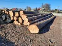 Sosna Tartaczna, dłużyca drewno okrągłe, Z Lasów Państwowych 100% PEFC